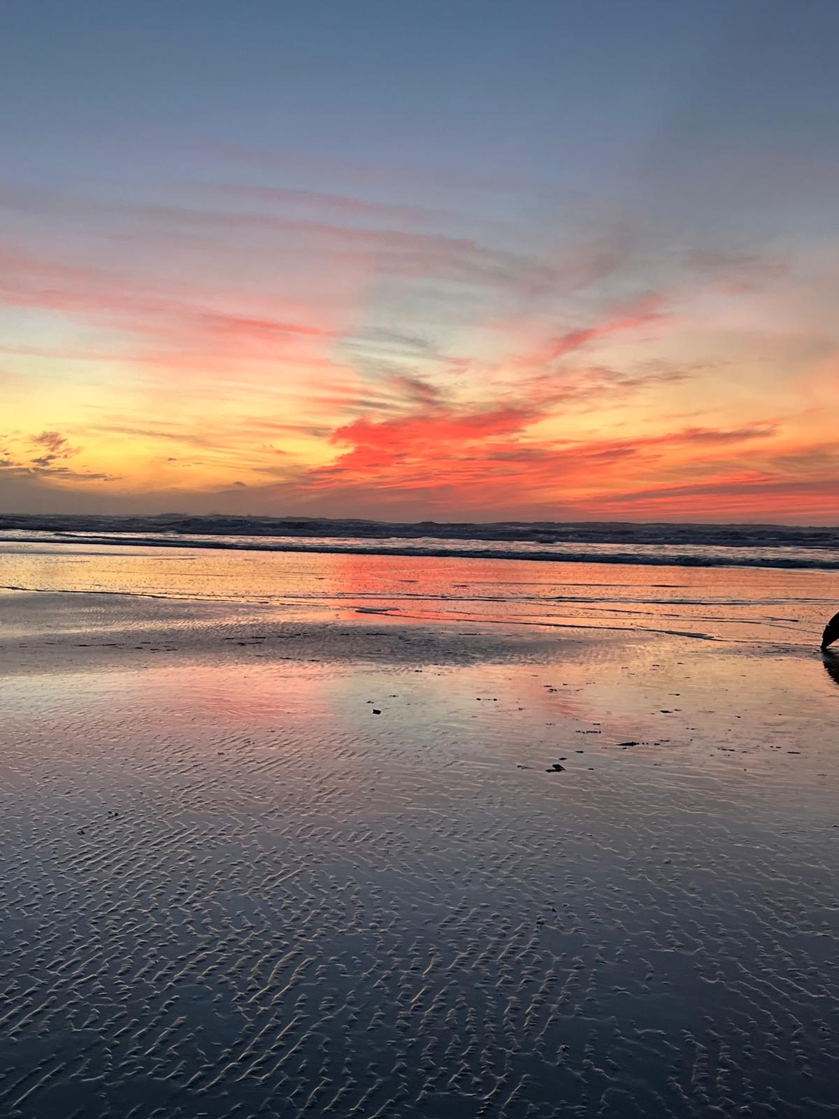 Oregon coast shoreline at sunset